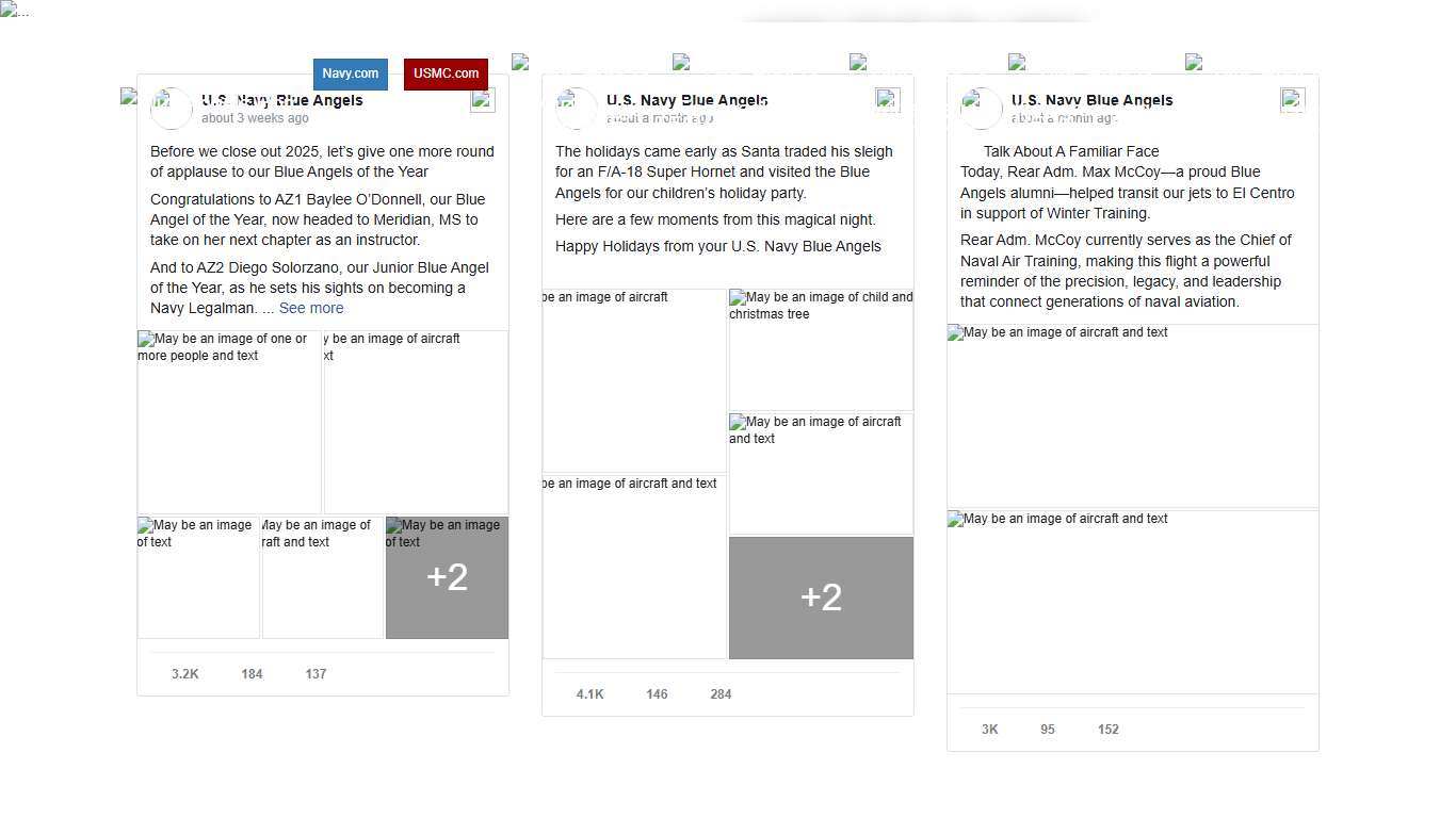 U.S. Navy Blue Angels